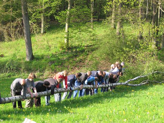 Maibaum 038.jpg